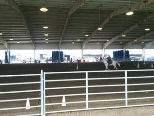The_Horse_Show